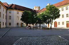 143: DSC_0224