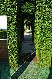 146: DSC_0228