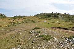 109: DSC_0151