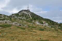 114: DSC_0158