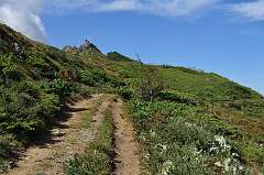122: DSC_0168