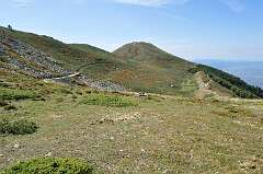 130: DSC_0177