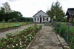 137: DSC_0184