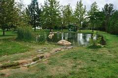 144: DSC_0193