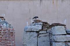 152: DSC_0206