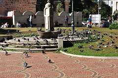 157: DSC_0212