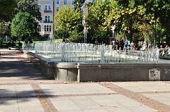 169: DSC_0234