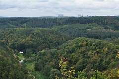 11: DSC_0011