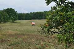 25: DSC_0025