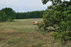 26: DSC_0026