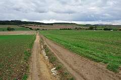 60: DSC_0060