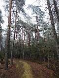 3: IMG_20201128_123614311