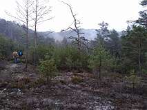 6: IMG_20201128_154619085