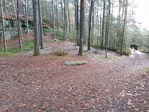 11: IMG_20201129_114030873