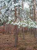 13: IMG_20201129_121727613
