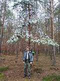 15: IMG_20201129_121820538