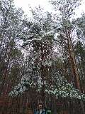 16: IMG_20201129_121824137