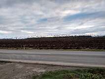 17: IMG_20201129_150048379_HDR