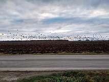18: IMG_20201129_150050418_HDR