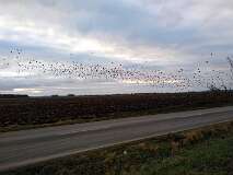 19: IMG_20201129_150056685