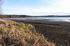 71: DSC_0098