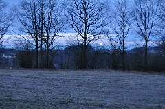 80: DSC_0110