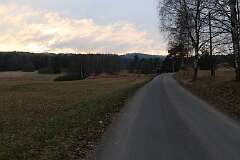 110: IMG_0376