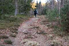 111: IMG_0385