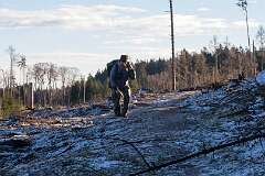 113: IMG_0420-1