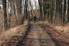 115: IMG_0507