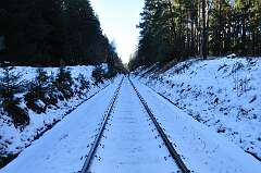 10: DSC_0197