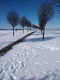 4: IMG_20210214_115248323