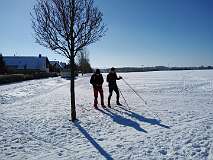 5: IMG_20210214_115300830