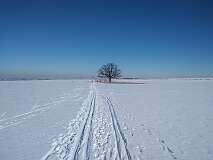 8: IMG_20210214_124019397