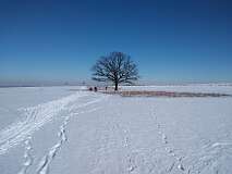 9: IMG_20210214_124102660