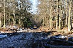 15: DSC_0025