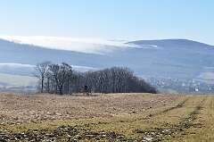 25: DSC_0037