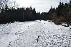 36: DSC_0049