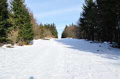 37: DSC_0050