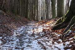 27: IMG_0520