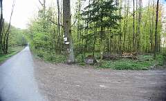 16: DSC_0174