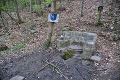 41: DSC_0206