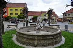 52: DSC_0219