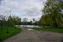 53: DSC_0220