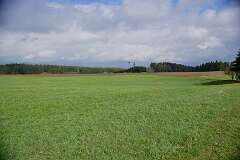 63: DSC_0240