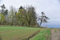65: DSC_0242
