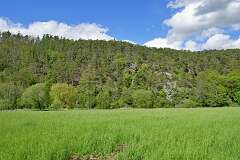 15: DSC_0331