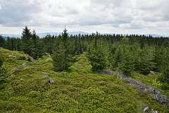 14: DSC_0388