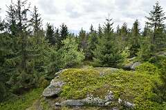 18: DSC_0395