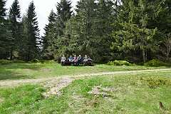 19: DSC_0396